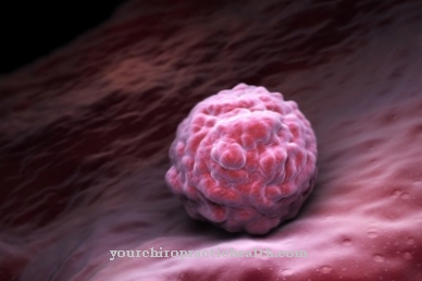 Intussusception (in embryogenesis)