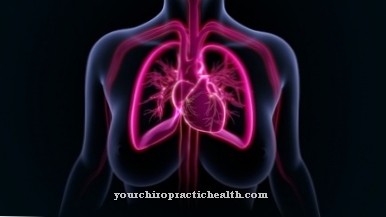 Pulmonary circulation