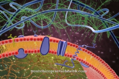 Membrane flow