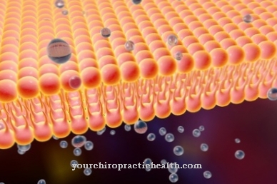 Membrane permeability