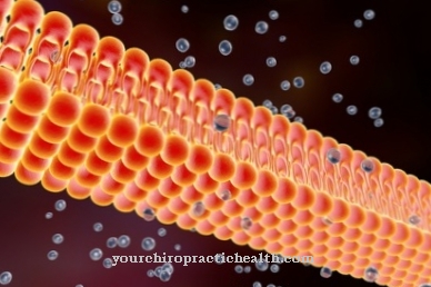 Membrane potential