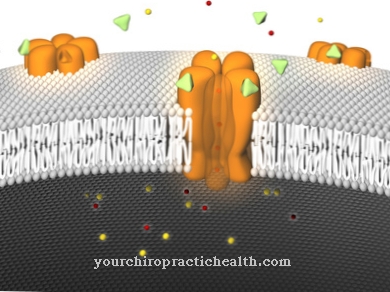 Membraninis transportas