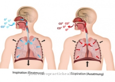 Nasal and mouth breathing