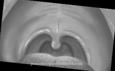 Orbicularis oris reflex