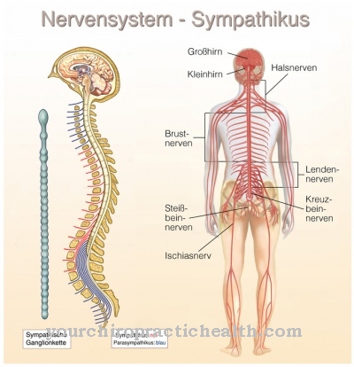 Parasympathetic tone