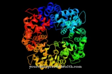 Protein synthesis