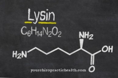 Protein metabolism