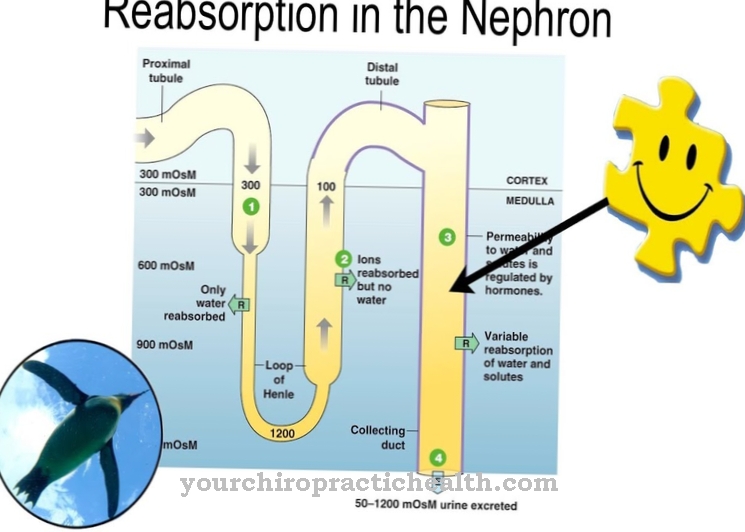 Reabsorption