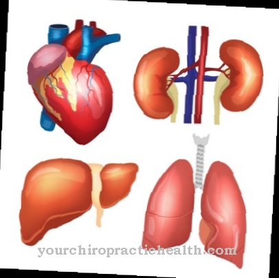 Renin-Angiotensin-Aldosterone System