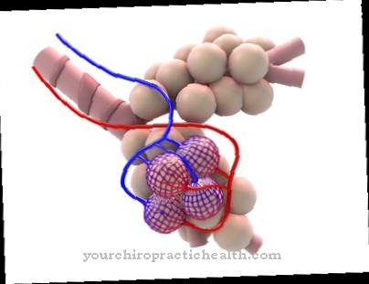 Oxygen transport