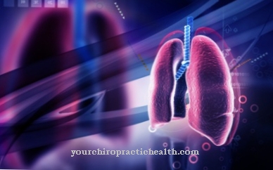 Ventilation-perfusion ratio