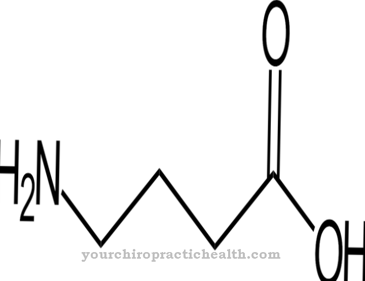 Asam Γ-aminobutyric