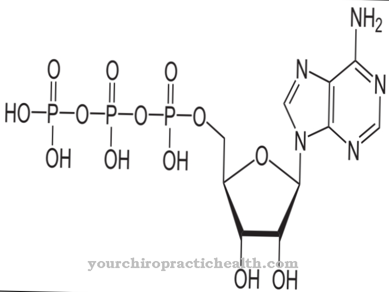 Adenosine triphosphate