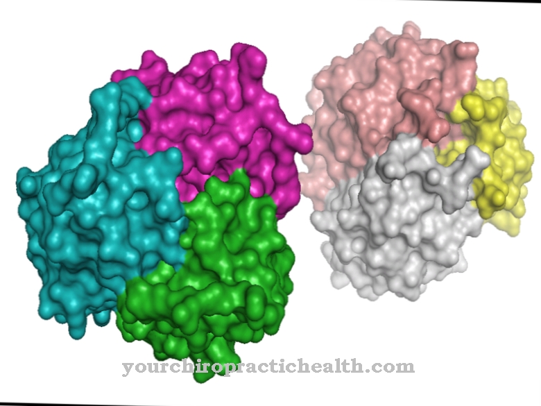 Adiponectin