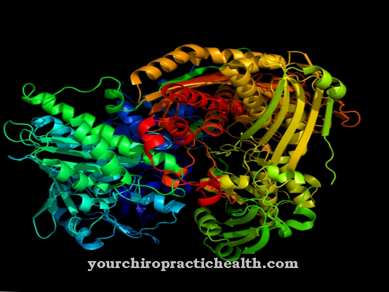 Aldehyde oxidase