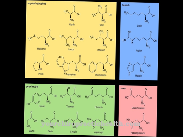 amino acids