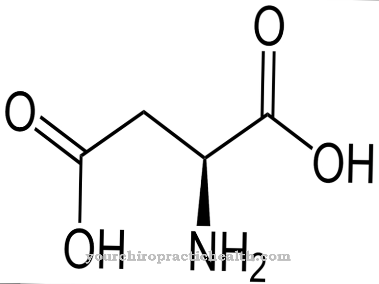 Asparaginsyra