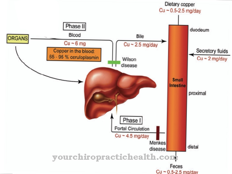 Ceruloplasmin