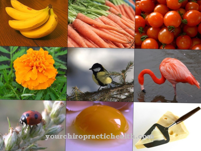 carotenoids