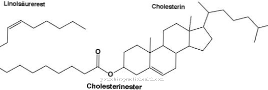 Este cholesterol