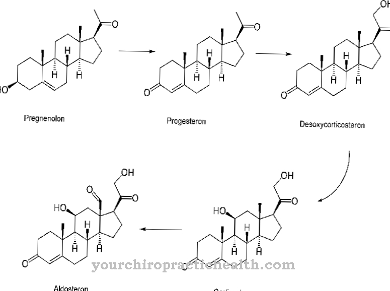 Corticosterone