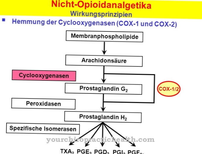 Cyklooxygenázy