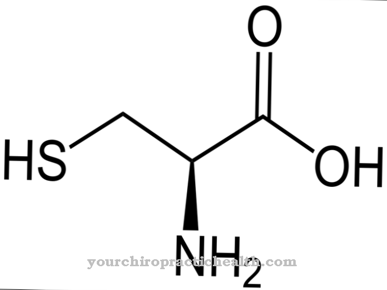 Cysteine