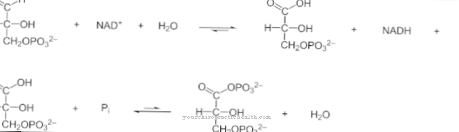 dehydrogenaser