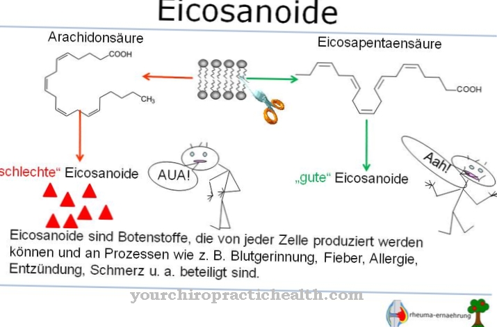 Eicosanoïden