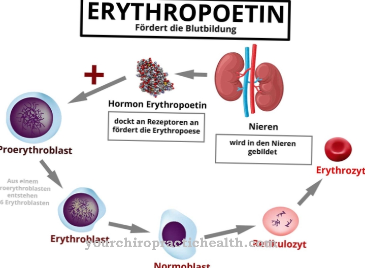 Erythropoietin