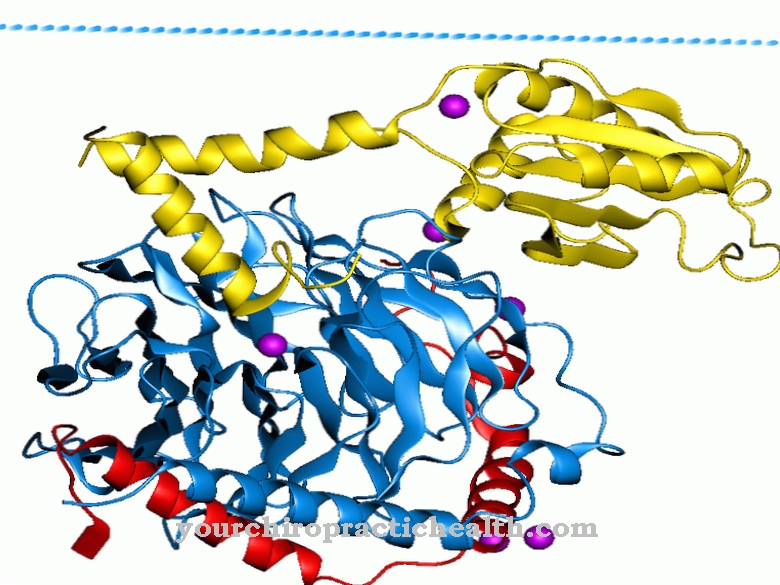 G proteina