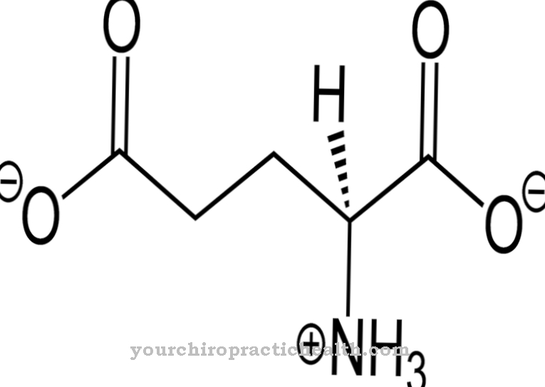 Glutamic acid