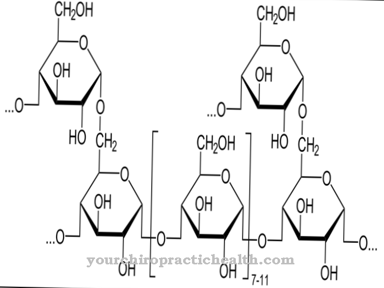 Glycogen