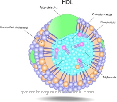 Lipoproteiny o dużej gęstości