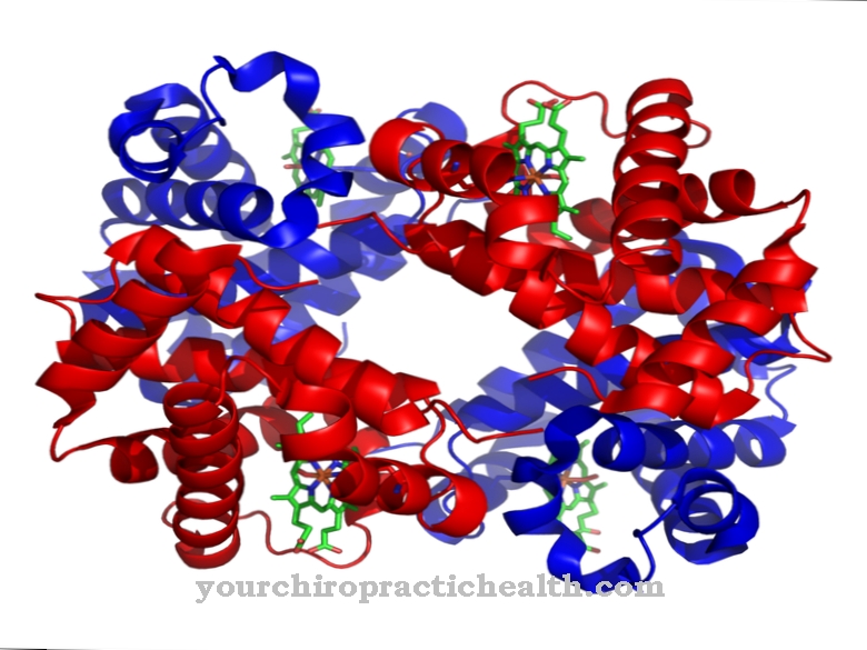 hemoglobin