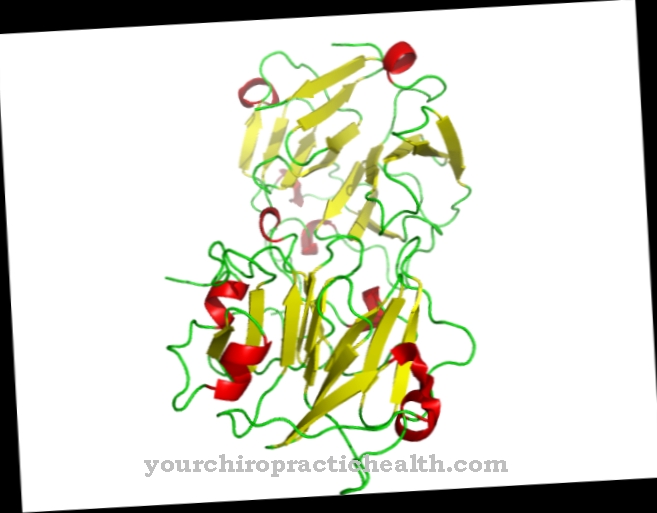 Hemopexin