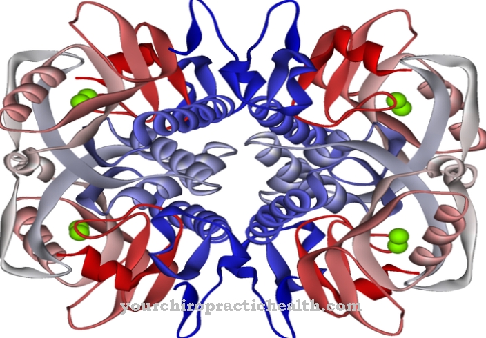 Hypoxanthine guanine phosphoribosyl transferase