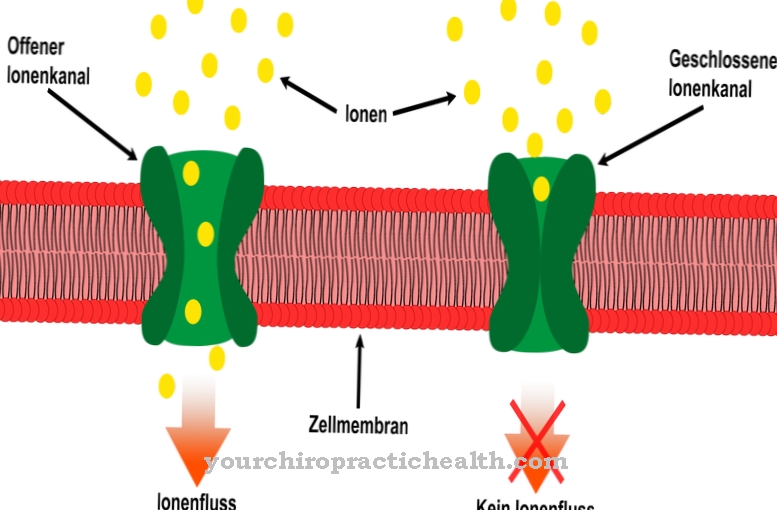 Ion channel