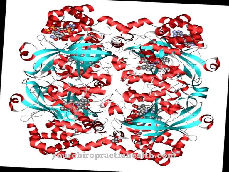 Catalase