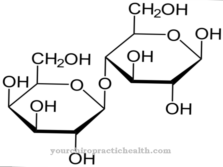 lactose