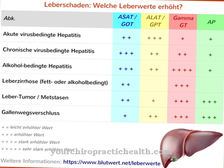 Liver enzymes