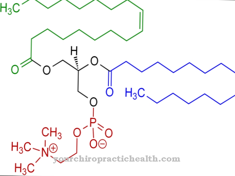 lecitin