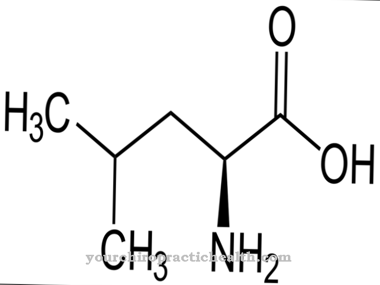 Leucine