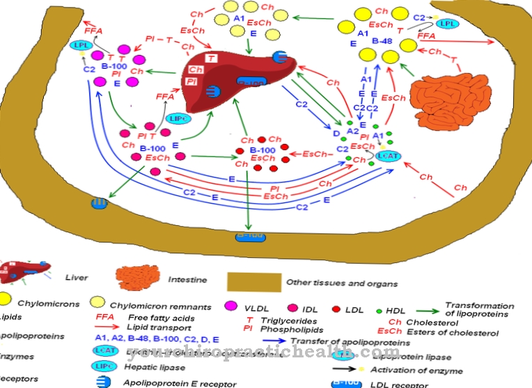 lipoproteins