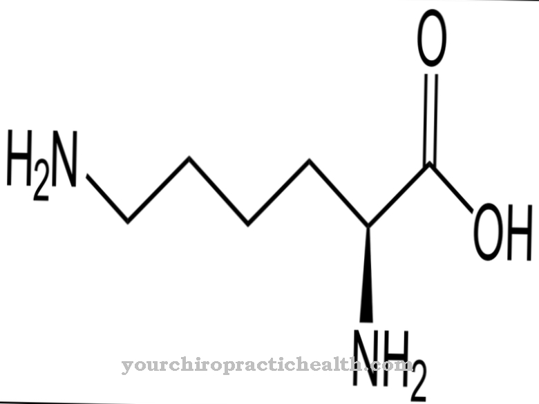 Lysine