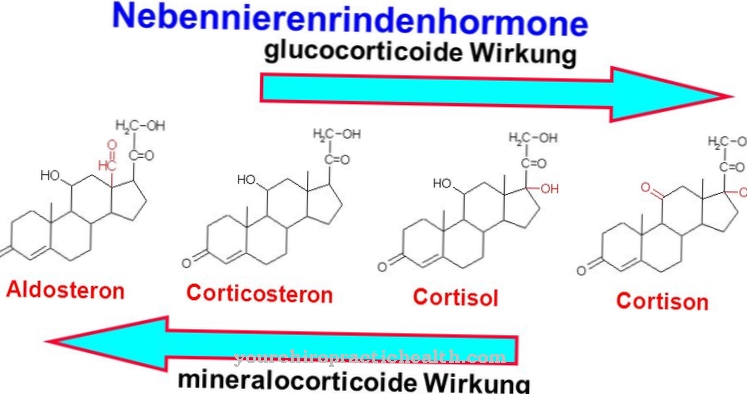 Mineralocorticoids