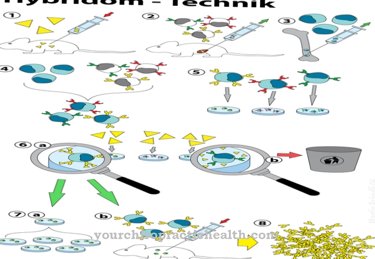 Monoclonal antibodies