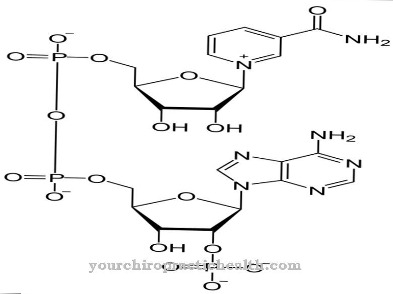 Nicotinamide adenine dinucleotide fosfaat