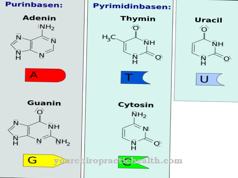 Nucleobases