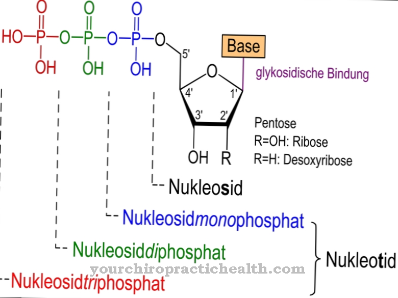 Acidi nucleici